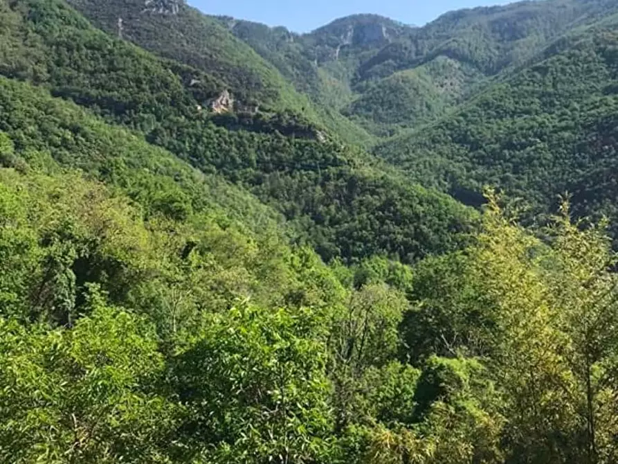 Immagine 7 di Casa bifamiliare in vendita  a Carrara
