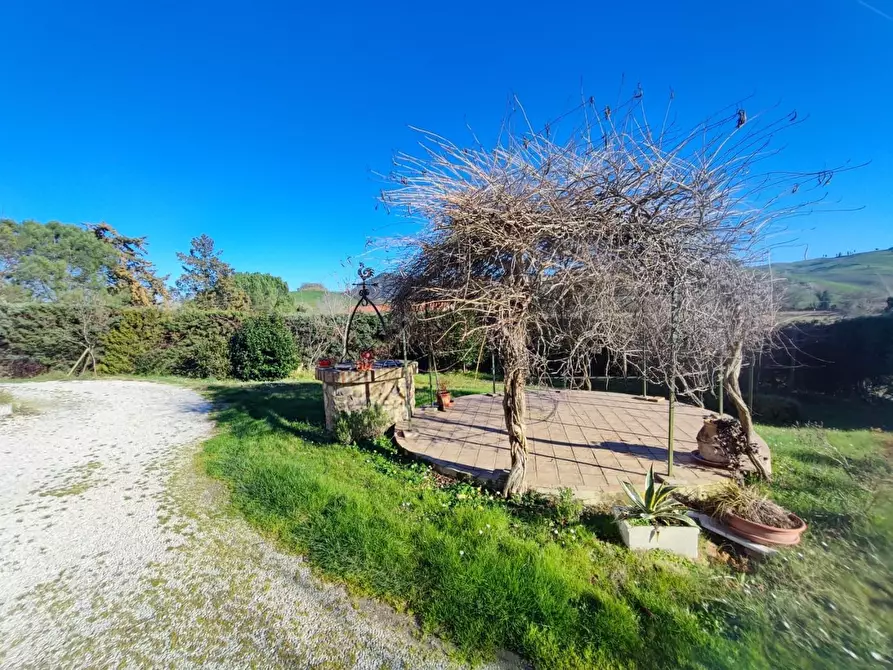 Immagine 5 di Casa colonica in vendita  a Volterra