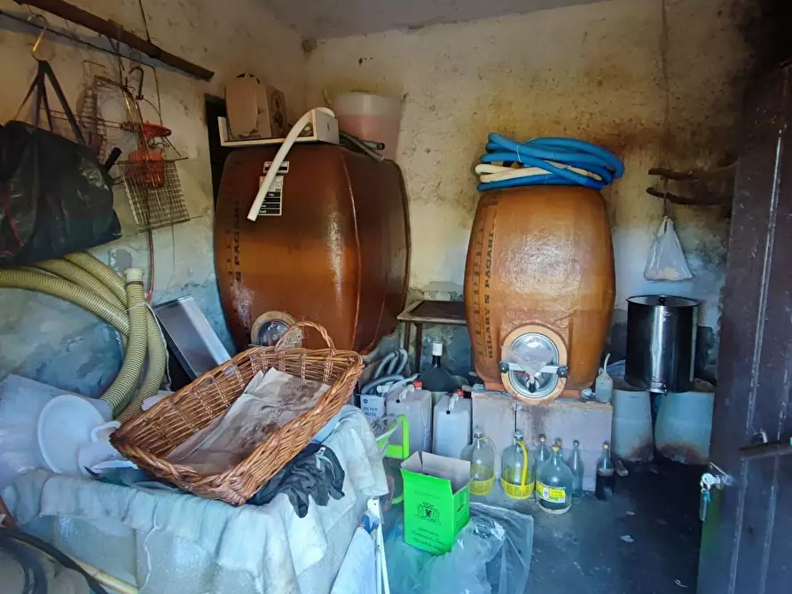 Immagine 32 di Casa colonica in vendita  a Volterra