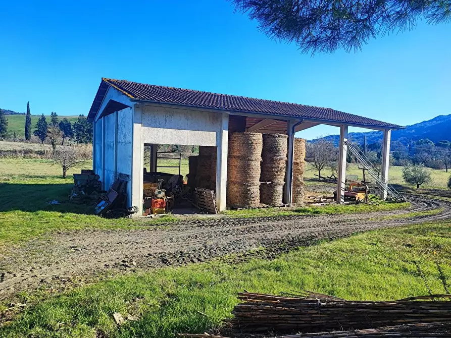 Immagine 38 di Casa colonica in vendita  a Volterra