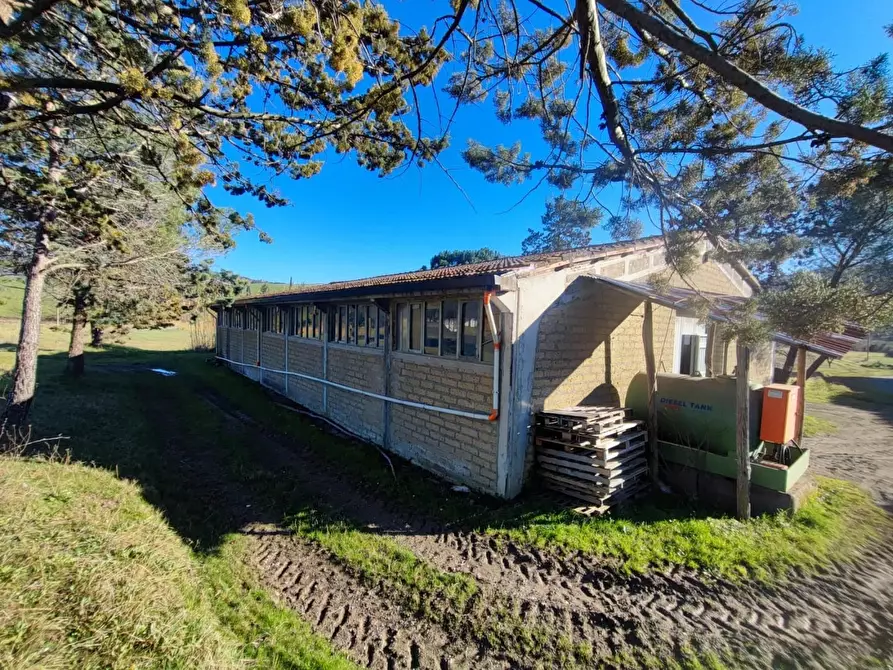 Immagine 35 di Casa colonica in vendita  a Volterra