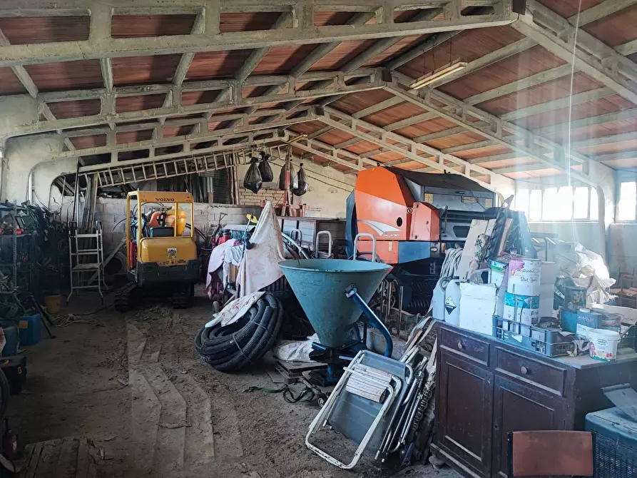 Immagine 37 di Casa colonica in vendita  a Volterra