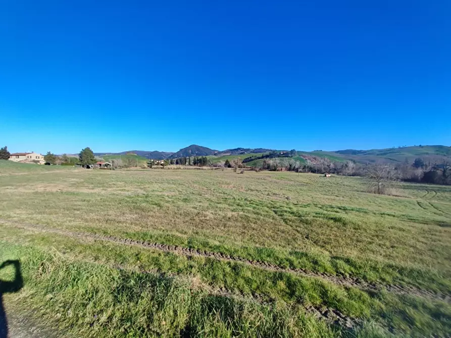 Immagine 13 di Casa colonica in vendita  a Volterra