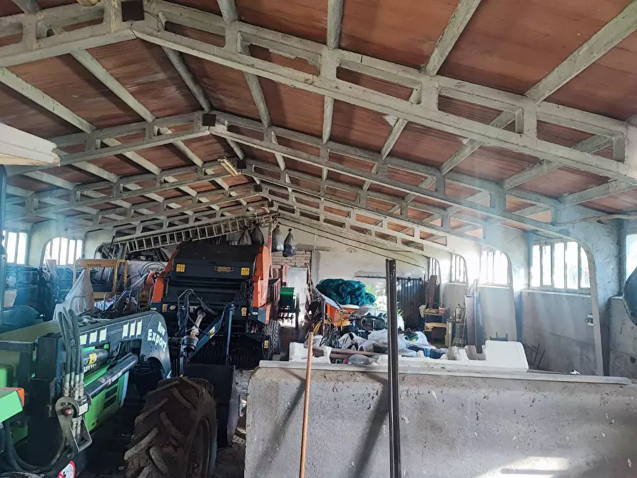 Immagine 36 di Casa colonica in vendita  a Volterra