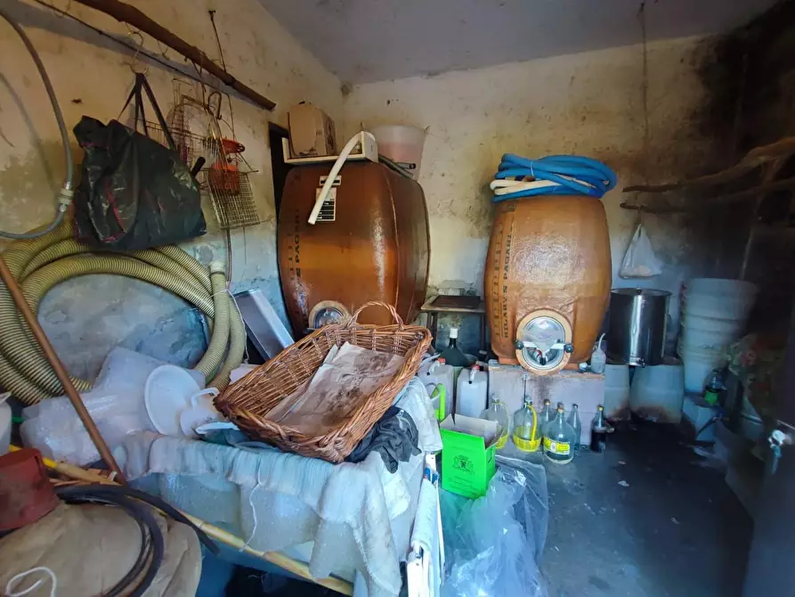 Immagine 31 di Casa colonica in vendita  a Volterra