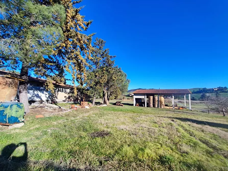 Immagine 34 di Casa colonica in vendita  a Volterra