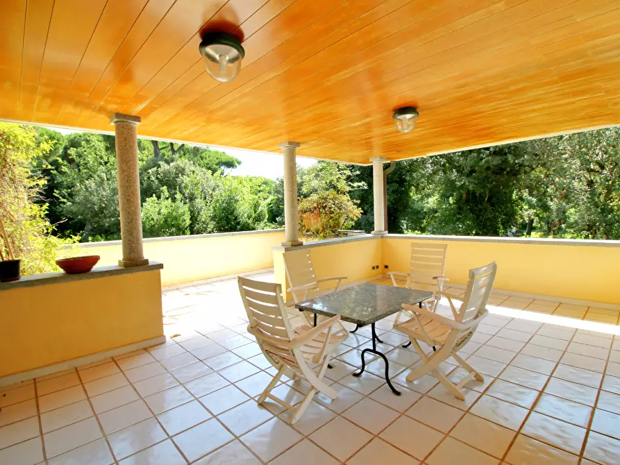 Immagine 6 di Villa in vendita  a Massa