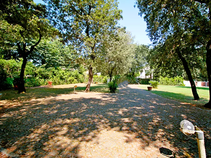 Immagine 17 di Villa in vendita  a Massa