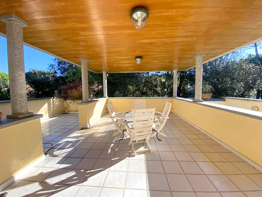 Immagine 5 di Villa in vendita  a Massa