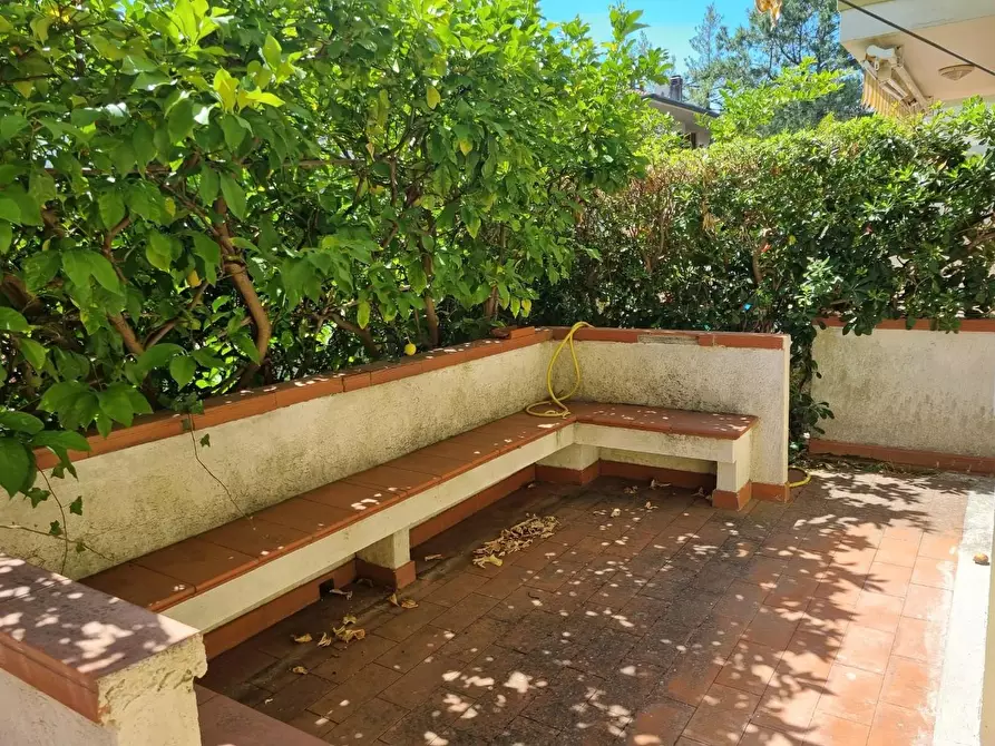 Immagine 19 di Villetta a schiera in vendita  a Massa