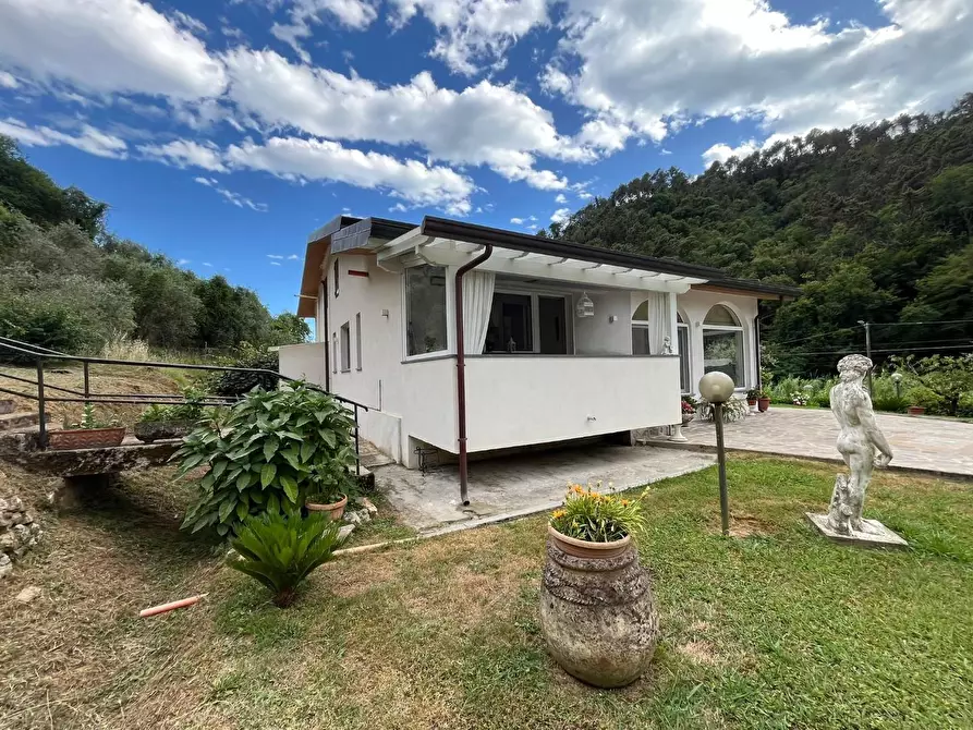 Immagine 21 di Villa in vendita  a Massa