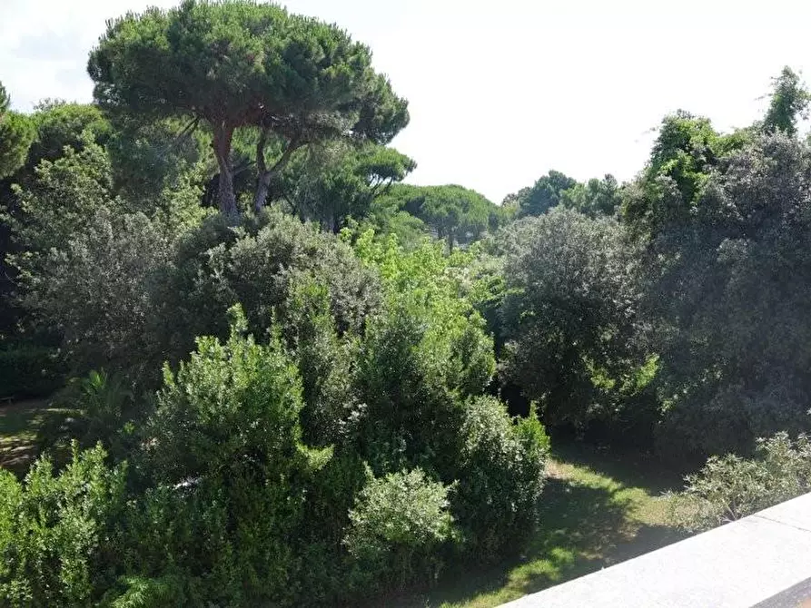 Immagine 27 di Villa in vendita  a Massa