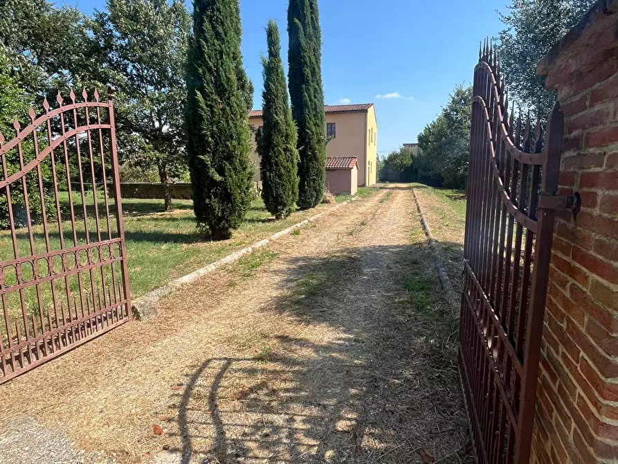 Immagine 14 di Casa colonica in vendita  a Peccioli