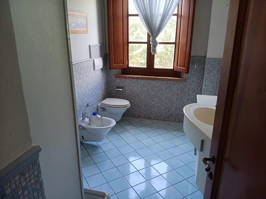 Immagine 11 di Casa colonica in vendita  a Peccioli