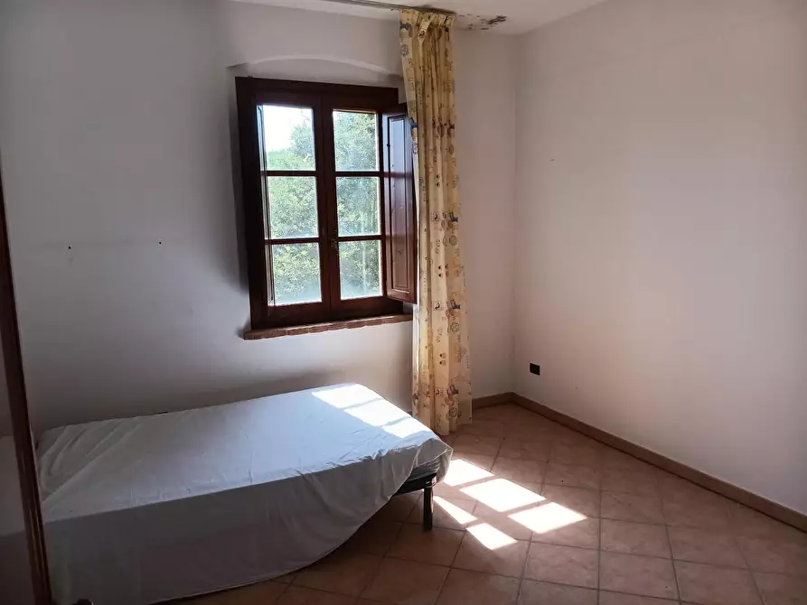 Immagine 5 di Casa colonica in vendita  a Peccioli