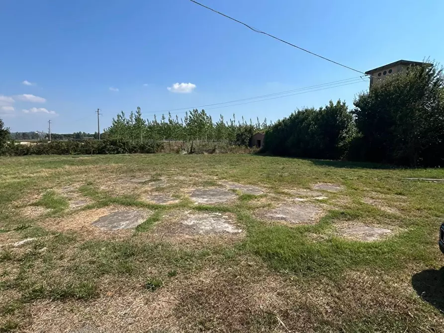 Immagine 13 di Casa colonica in vendita  a Peccioli