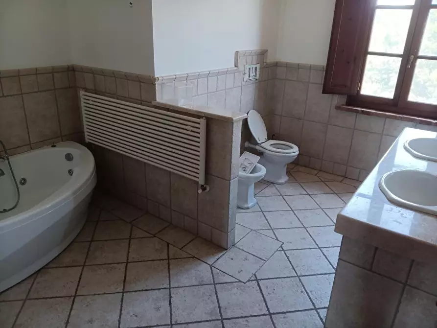 Immagine 10 di Casa colonica in vendita  a Peccioli