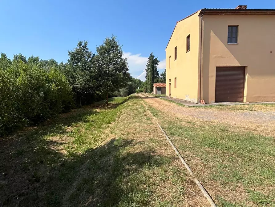 Immagine 8 di Casa colonica in vendita  a Peccioli