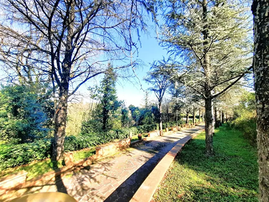 Immagine 5 di Villa in vendita  a Santa Maria A Monte