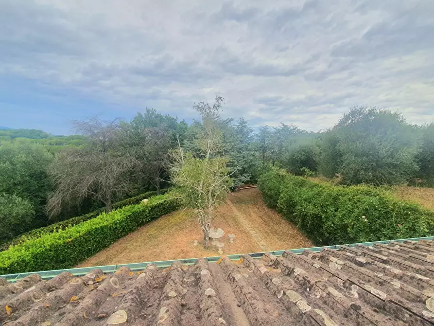 Immagine 51 di Villa in vendita  a Santa Maria A Monte