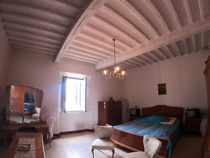 Immagine 25 di Villa in vendita  a Orciano Pisano
