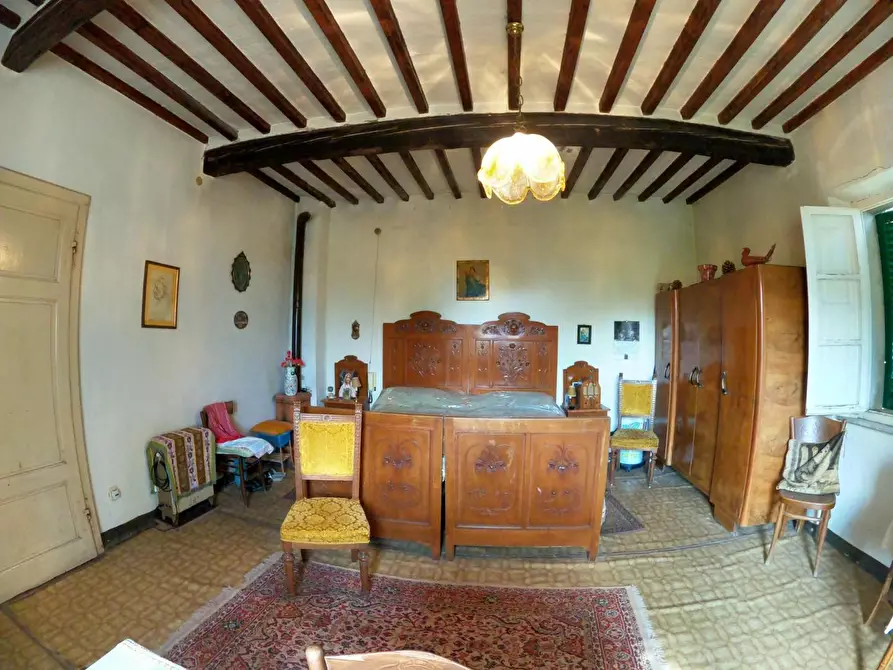 Immagine 18 di Villa in vendita  a Orciano Pisano