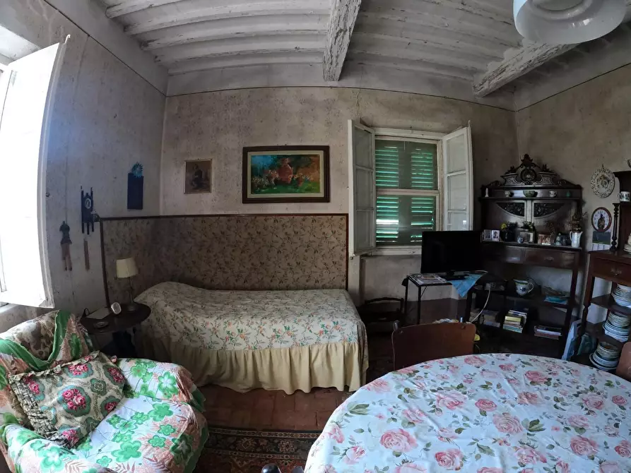 Immagine 11 di Villa in vendita  a Orciano Pisano