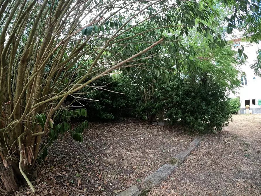 Immagine 37 di Villa in vendita  a Orciano Pisano