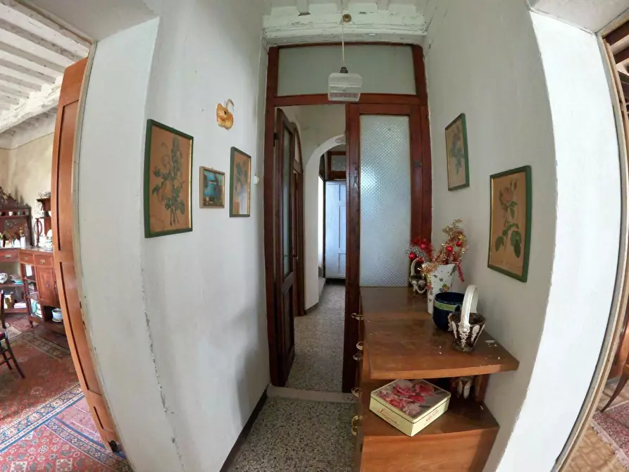 Immagine 24 di Villa in vendita  a Orciano Pisano