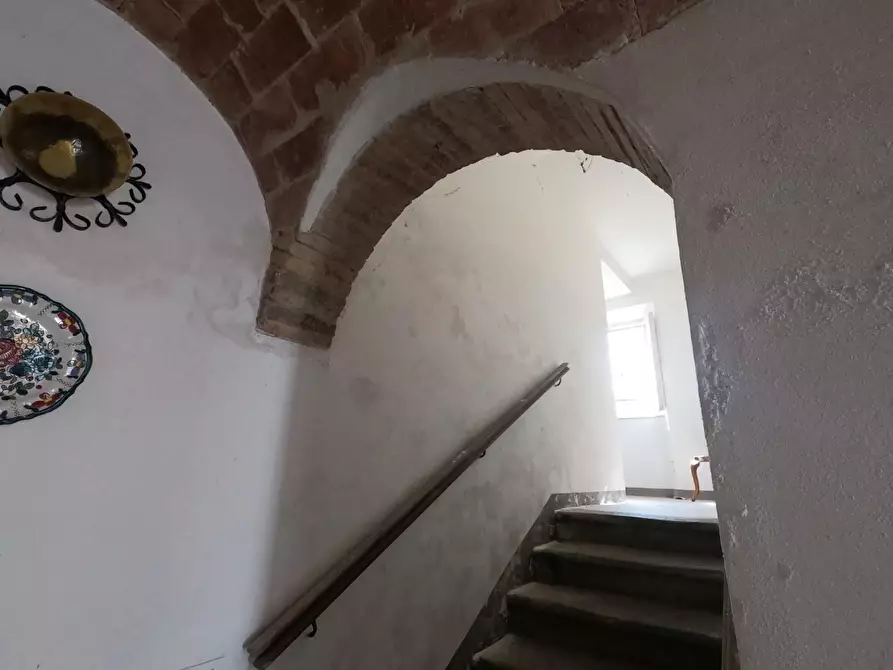 Immagine 3 di Villa in vendita  a Orciano Pisano