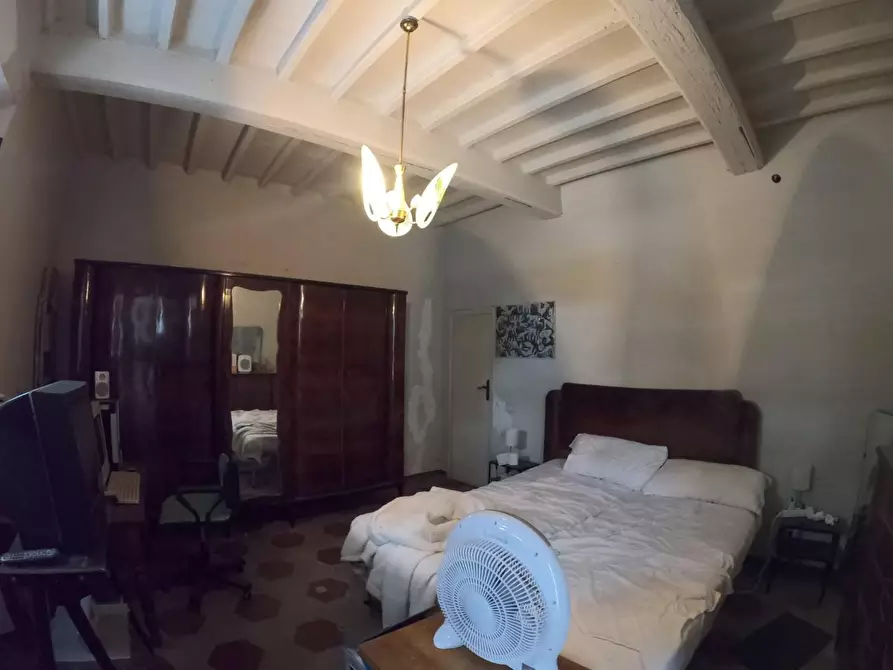 Immagine 17 di Villa in vendita  a Orciano Pisano