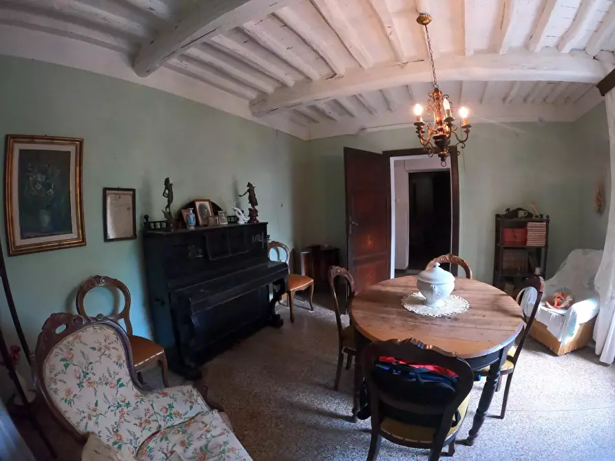 Immagine 6 di Villa in vendita  a Orciano Pisano