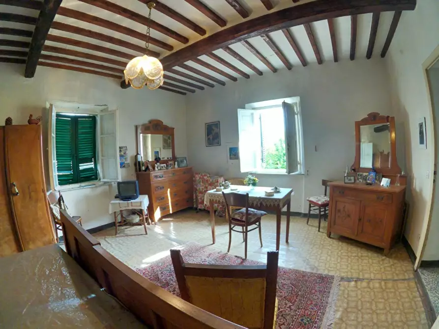 Immagine 23 di Villa in vendita  a Orciano Pisano