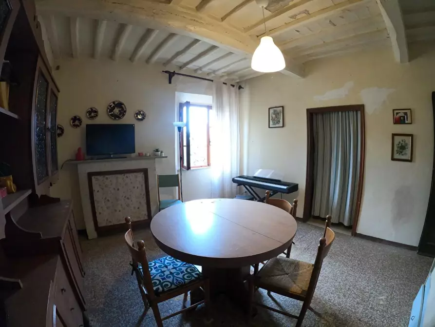 Immagine 9 di Villa in vendita  a Orciano Pisano