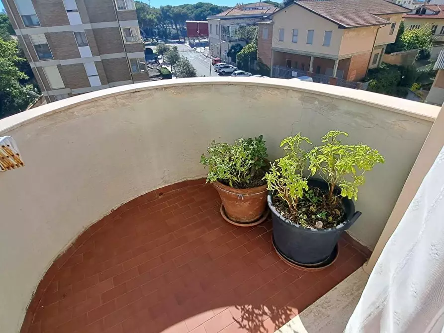 Immagine 14 di Appartamento in vendita  a Rosignano Marittimo