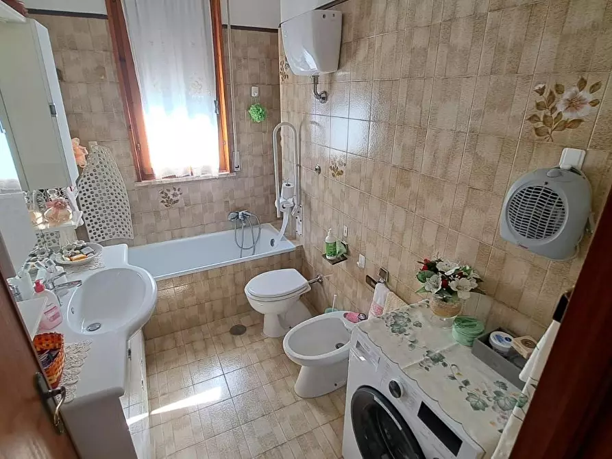 Immagine 17 di Appartamento in vendita  a Rosignano Marittimo