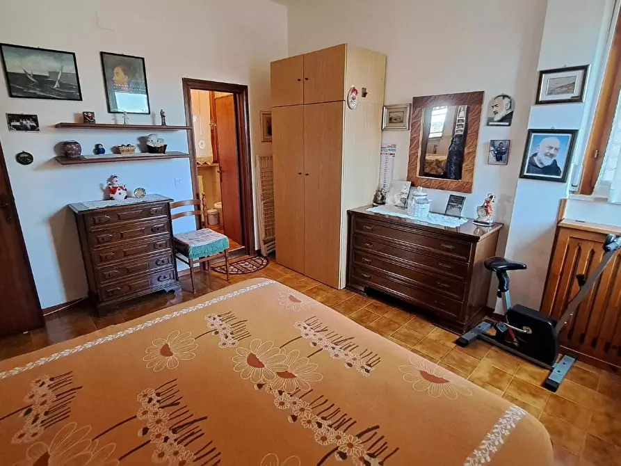 Immagine 13 di Appartamento in vendita  a Rosignano Marittimo