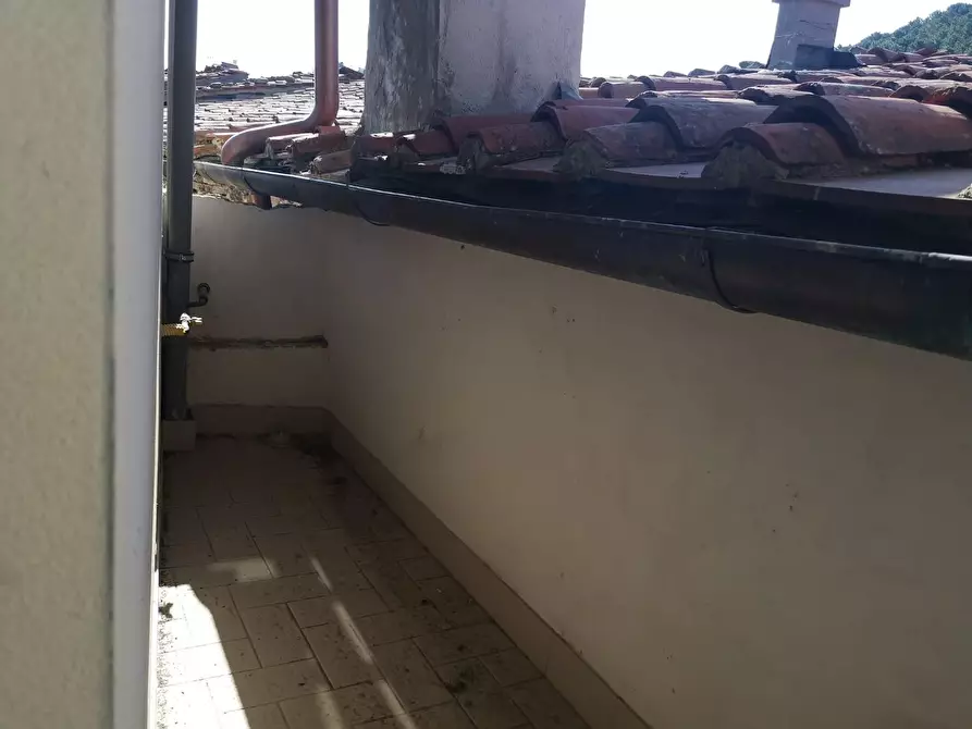 Immagine 23 di Terratetto in affitto  a Buti