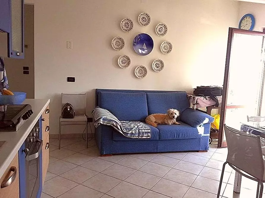 Immagine 17 di Appartamento in vendita  a Massa