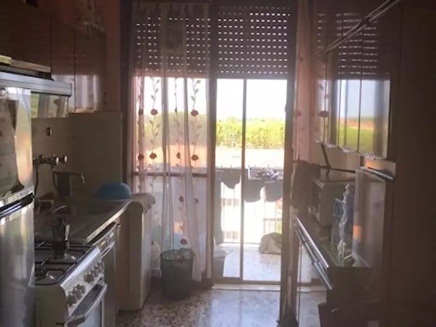 Immagine 4 di Appartamento in affitto  a Pisa