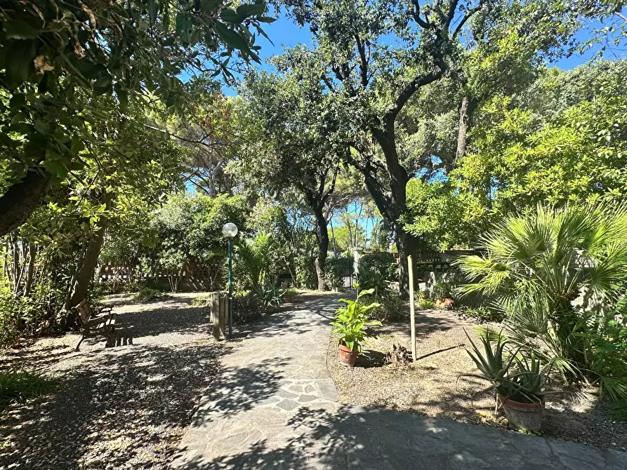 Immagine 29 di Appartamento in vendita  a Rosignano Marittimo