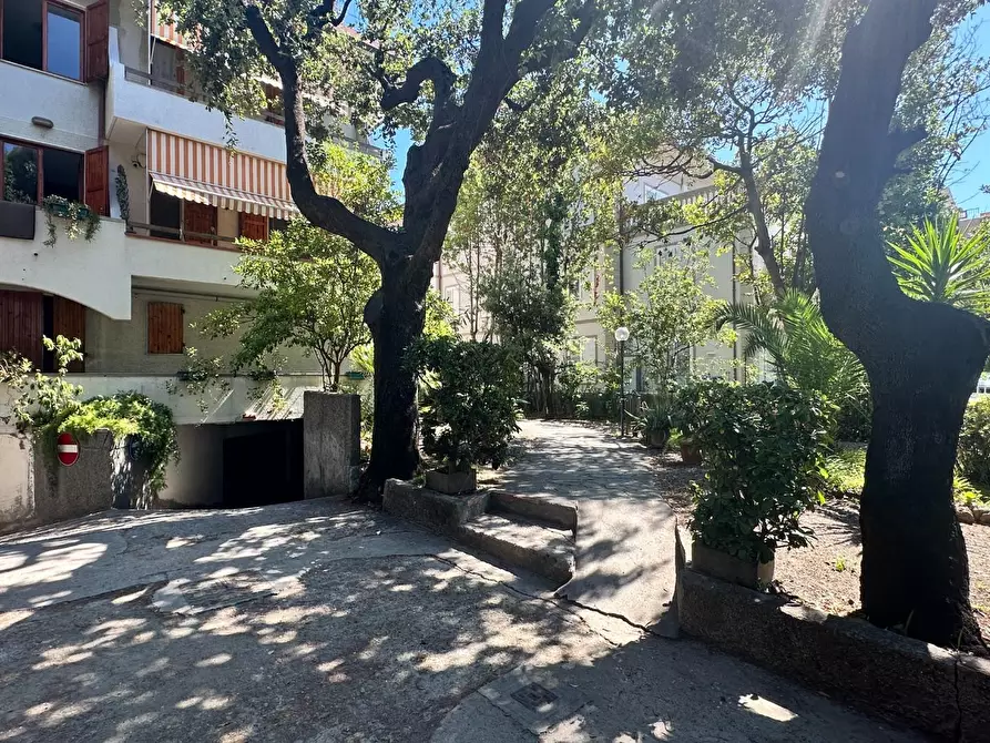 Immagine 27 di Appartamento in vendita  a Rosignano Marittimo