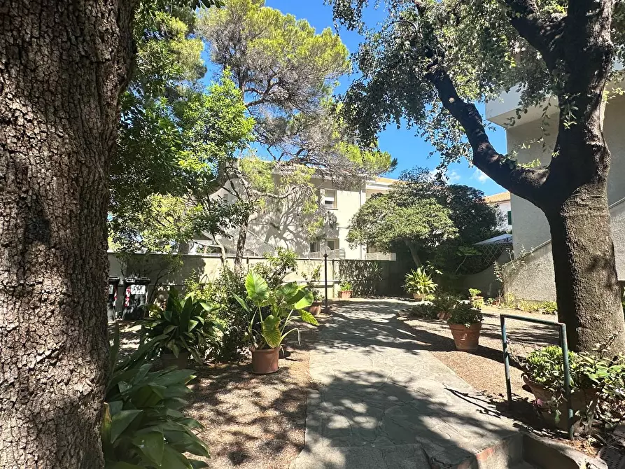 Immagine 28 di Appartamento in vendita  a Rosignano Marittimo