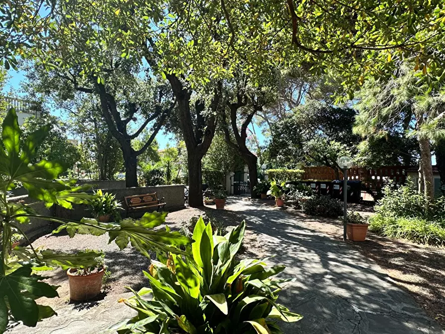 Immagine 1 di Appartamento in vendita  a Rosignano Marittimo