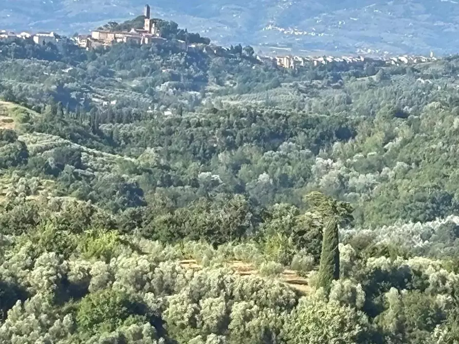 Immagine 25 di Porzione di casa in vendita  a San Miniato