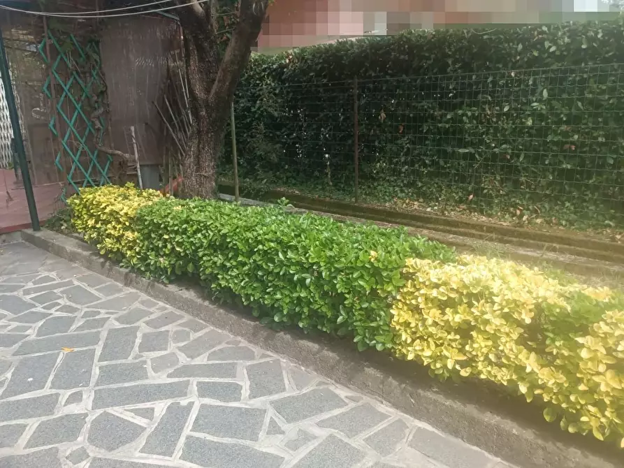 Immagine 6 di Porzione di casa in vendita  a Massa