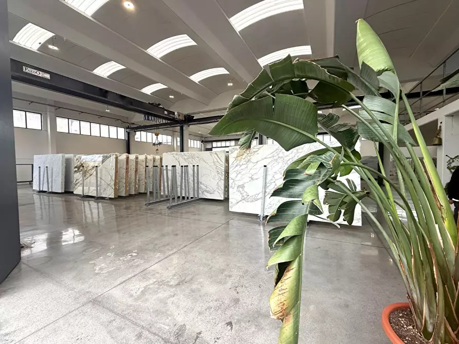 Immagine 4 di Capannone industriale in vendita  a Massa