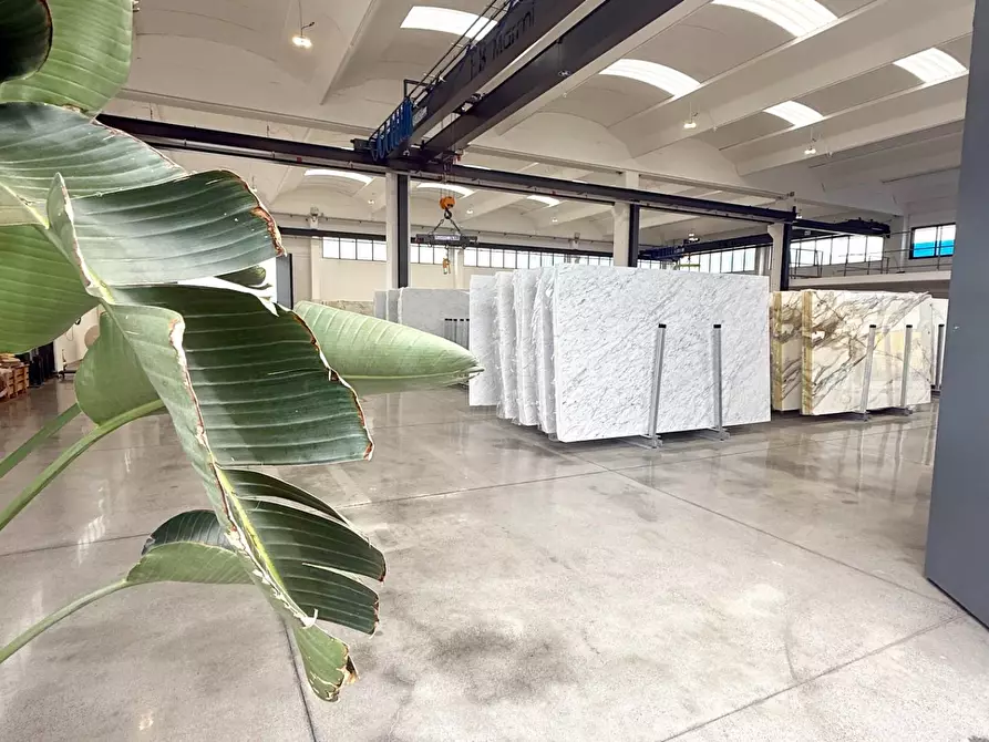 Immagine 2 di Capannone industriale in vendita  a Massa