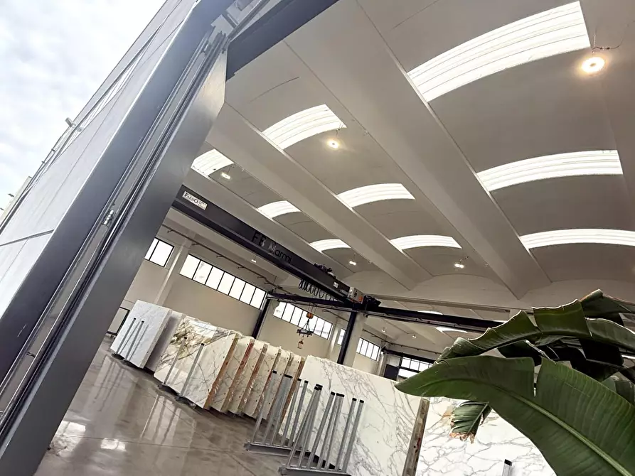 Immagine 5 di Capannone industriale in vendita  a Massa