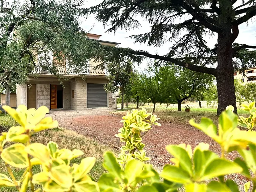 casa indipendente in vendita ad Empoli in zona Centro Storico